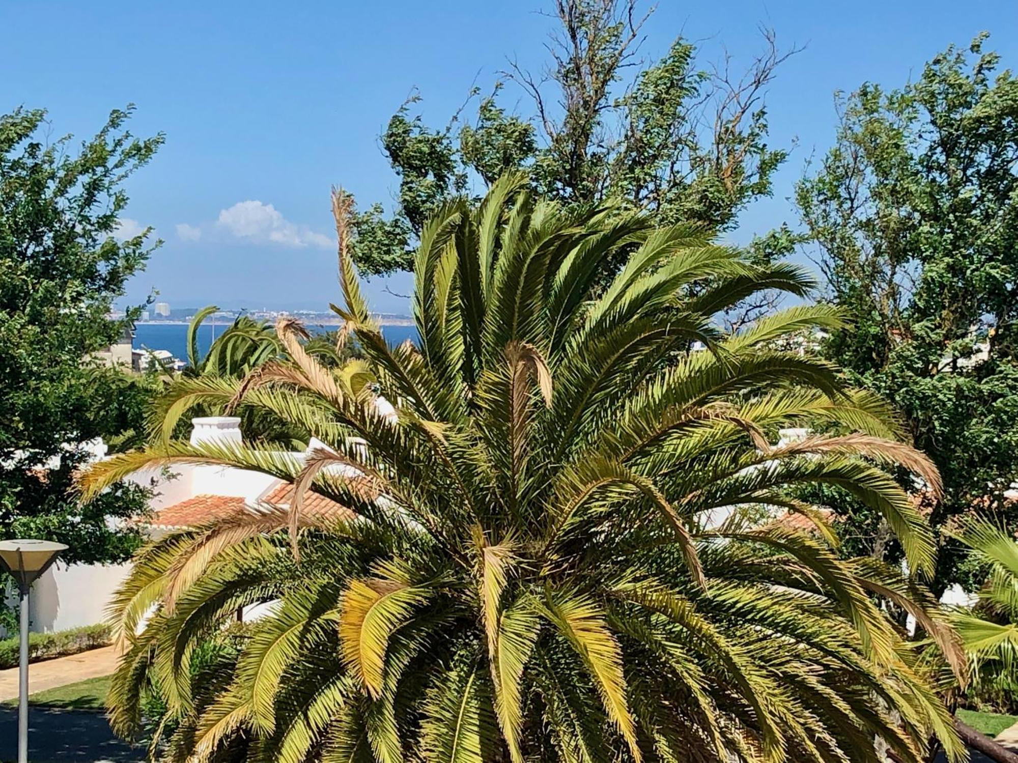 Ancora Boutique Apartments Lagos Kültér fotó